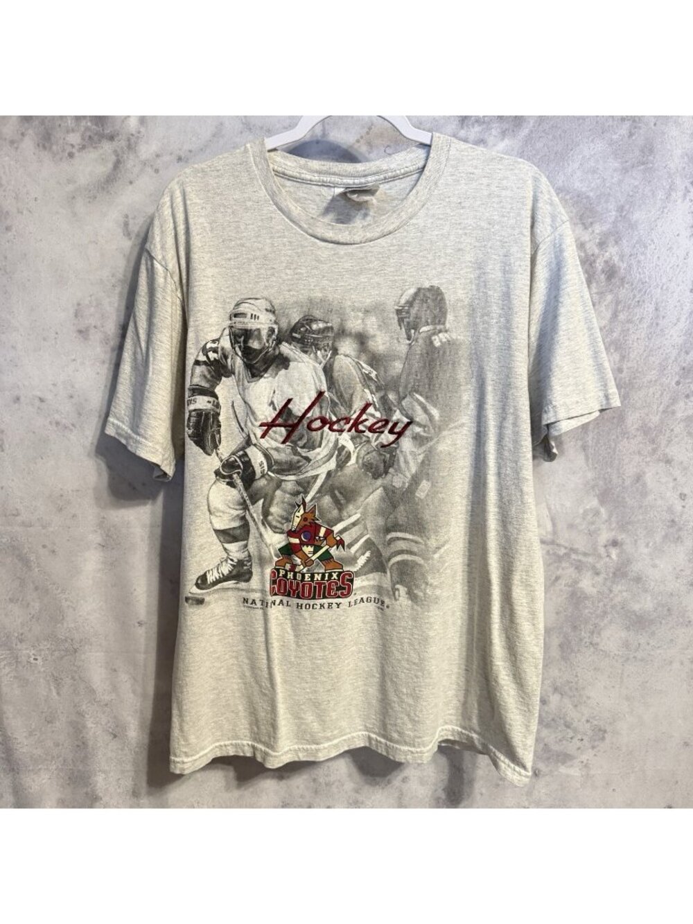 Vintage Phoenix Coyotes T Shirt Mens Large Gray 90s CSA NHL Graphic Tee